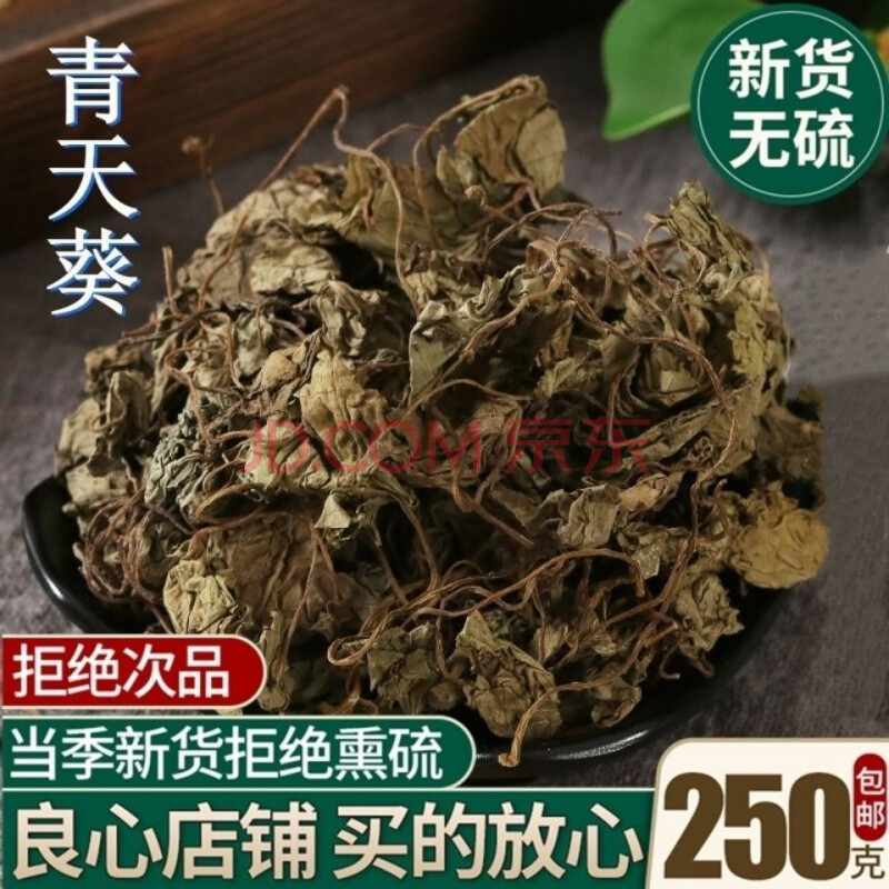 【亏本卖3天】青天葵中药材 100 独脚天揆 珍珠叶半边伞坠千斤独叶莲