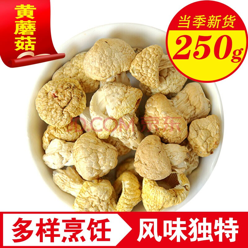 品茸堂 祁连特产黄菇 干货青海祁连山小黄蘑菇菌皇菇丁子菇黄蘑菇 黄