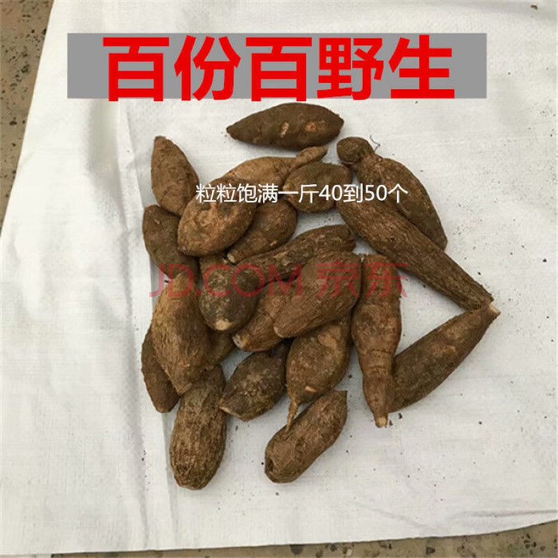 中药材现挖广东汤料500g特级大力薯根泡酒材料九九和仁 小黑牛500g