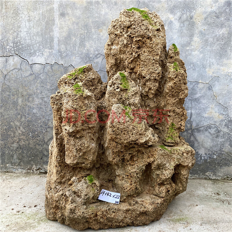 中大型吸水石上水石假山盆景园林观赏石天然原石水锈石庭院 卡其色