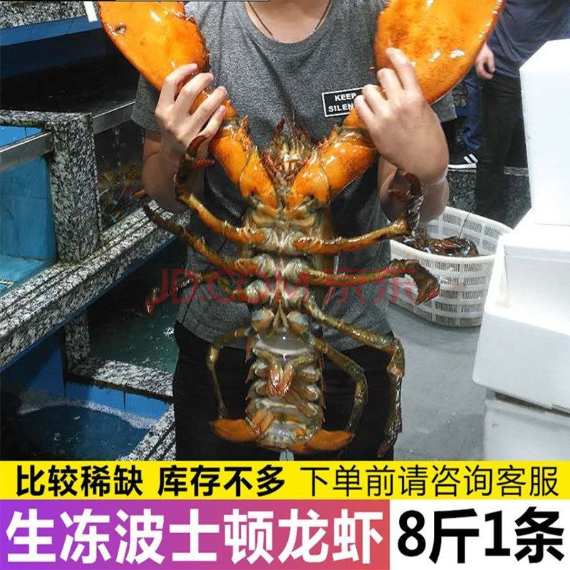 波士顿龙虾海鲜水产鲜活冷冻新鲜特大澳洲大龙虾生鲜 艾黎迪尚 生冻 1