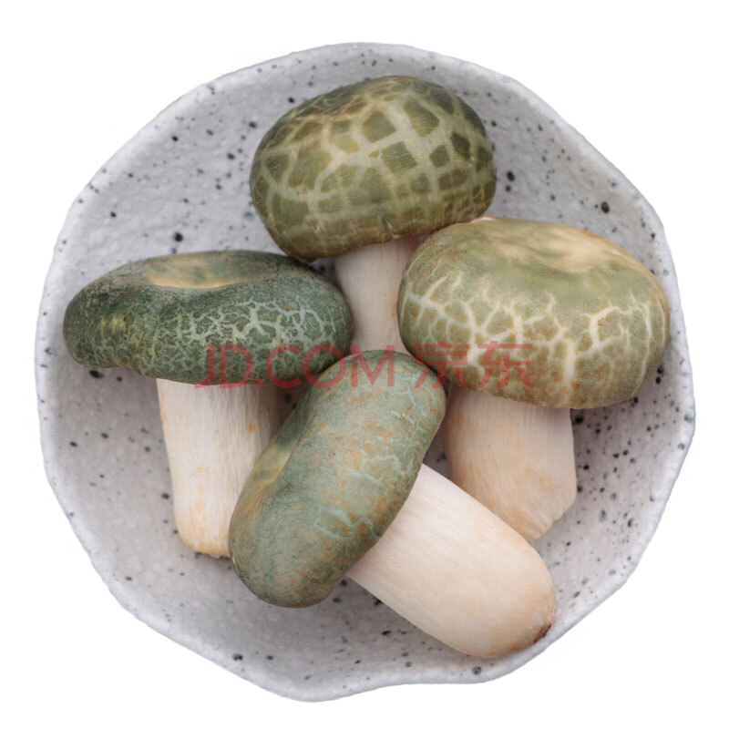 青头菌新鲜菌 云南绿豆菌青冈菌绿蘑菇食用绿头花脸菇青堂菌500g