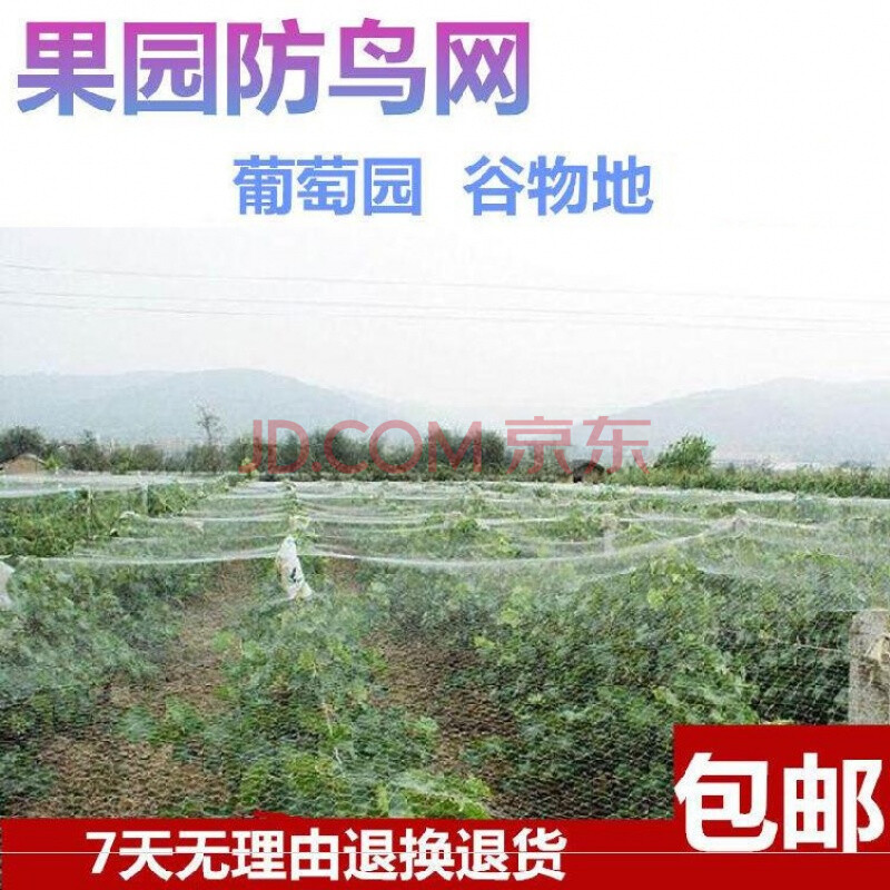水果树保护网防虫网罩防鸟果园尼龙网麻防网雀养殖网葡萄架网天网