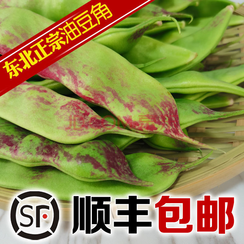 一点红油豆角东北特产农家种植新鲜蔬菜现摘开锅烂宽扁豆 4油豆角精选