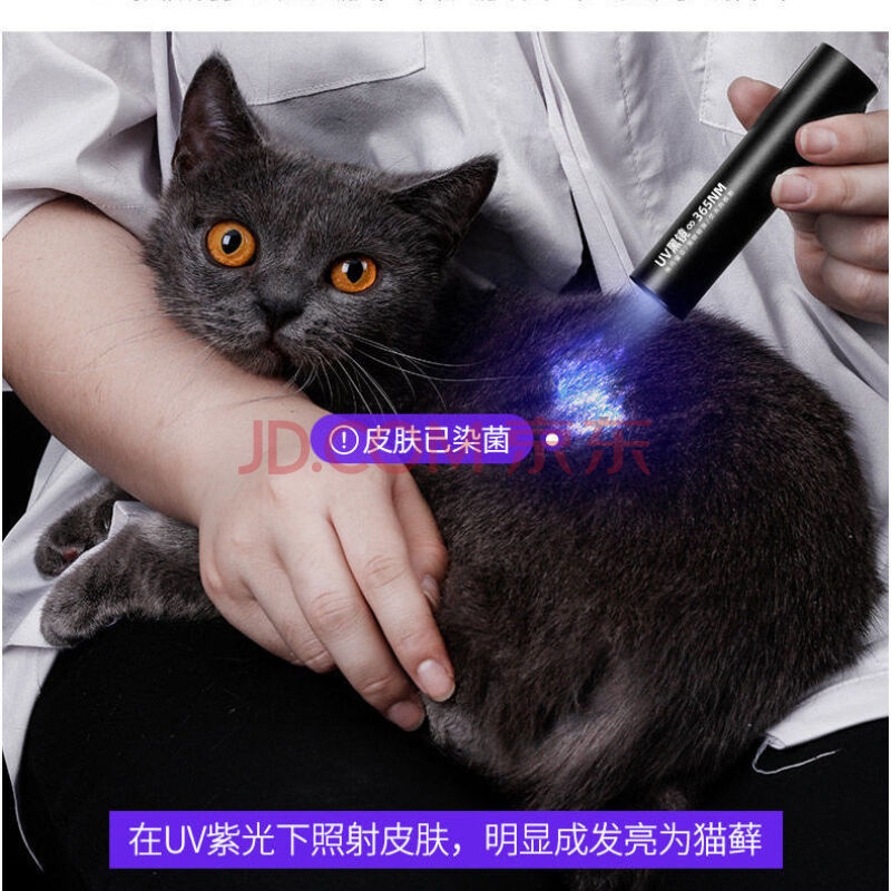 专用验钞伍德氏灯猫藓灯宠物紫光灯照猫藓灯手电筒紫外线真菌检测