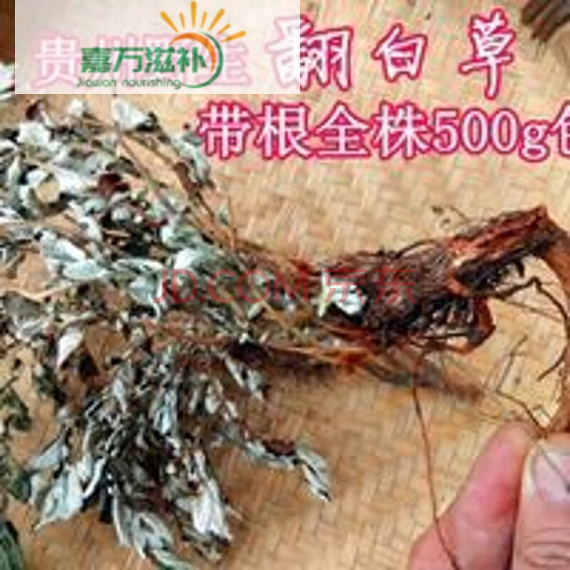 伟博贵州草药翻白草干货500g 中药材白头翁全株返白草茶天青地白 500g