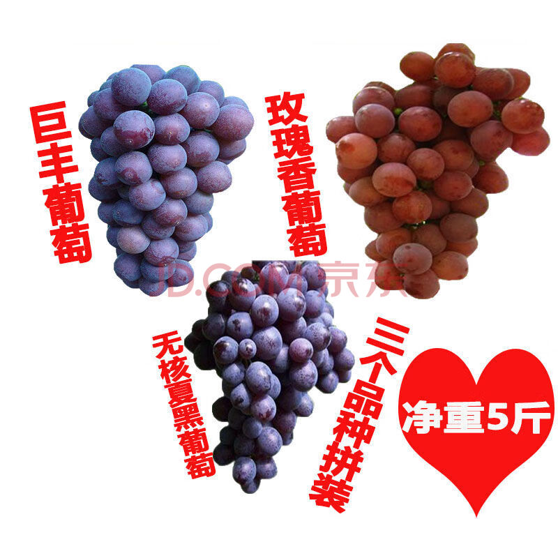 马陆葡萄玫瑰香无籽奶油香无核夏黑巨峰巨丰葡萄新鲜现摘5斤水果 夏黑