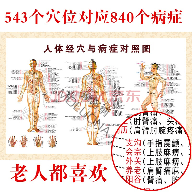 中医艾灸针灸人体经络穴位图大挂图身体筋络家用全身按摩图解高清