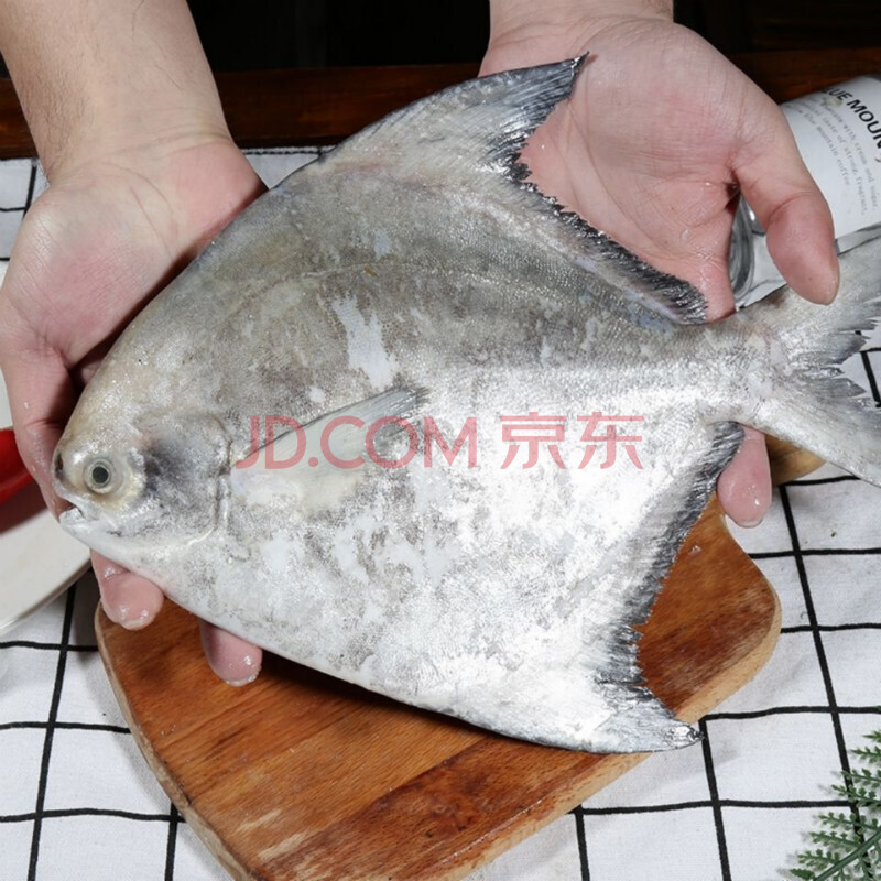 沢素湾旗舰店 大斗鲳鱼 新鲜海捕斗底鲳鱼特大斗鲳鱼海鲜水产鱼类 【0