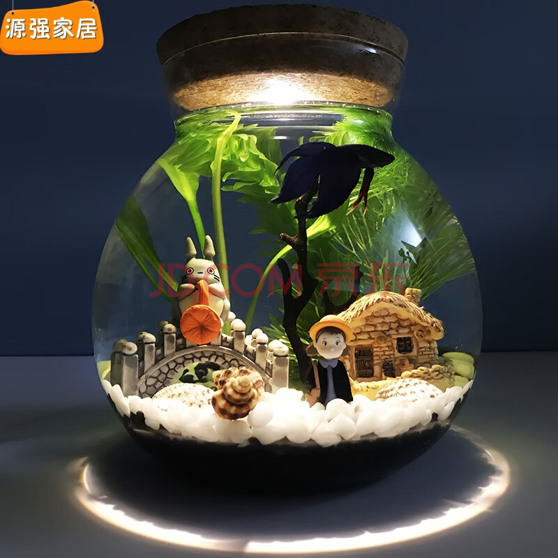办公室桌面创意鱼缸小鱼迷你景观 生态瓶微景观水族箱造景斗鱼缸创意