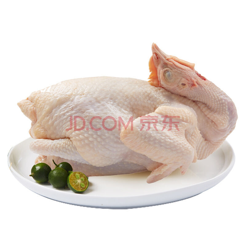 鸡肉 雪兰(xuelan) 【海南特产】文昌鸡正宗文昌鸡土鸡海南椰子鸡生鸡