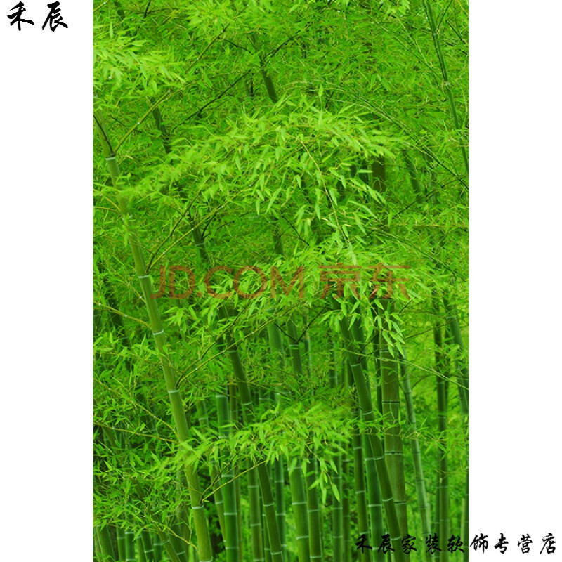 墙纸自粘 3d立体墙纸桌面贴画竹子竹林海报订做森林树木贴画唯美绿色