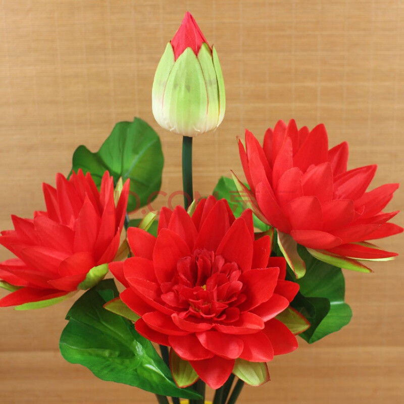寺庙佛堂装饰荷花 佛台莲花 大花朵睡莲大红一束不带瓶