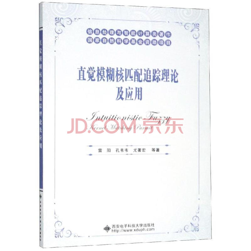 直觉模糊核匹配追踪理论及应用雷阳/孔韦韦/尤著宏/余晓东/刘佳等