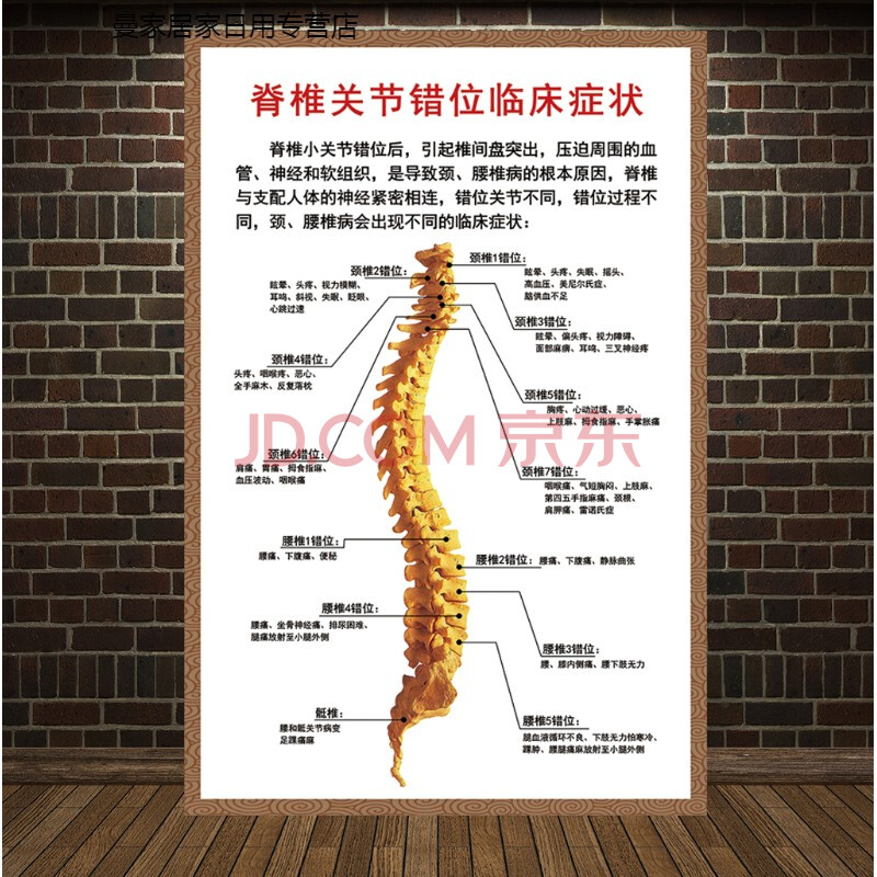 人体椎间盘常见病变颈椎脊椎息图骨骼挂图医院腰椎间盘突出墙贴 脊柱