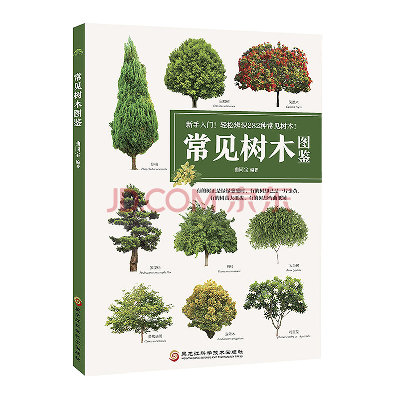 常见树木图鉴园林绿化园林植物书苗木图鉴苗木植物图鉴大全绿化树苗木