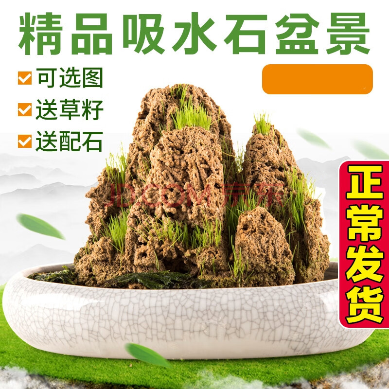 天然吸水石上水石原石假山盆景植物微景观客厅奇石装饰观赏小石头 10