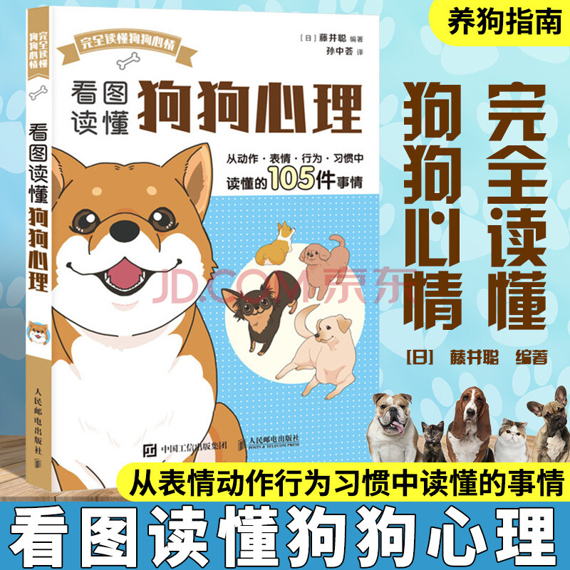 乡间名士:拉布拉多猎犬
