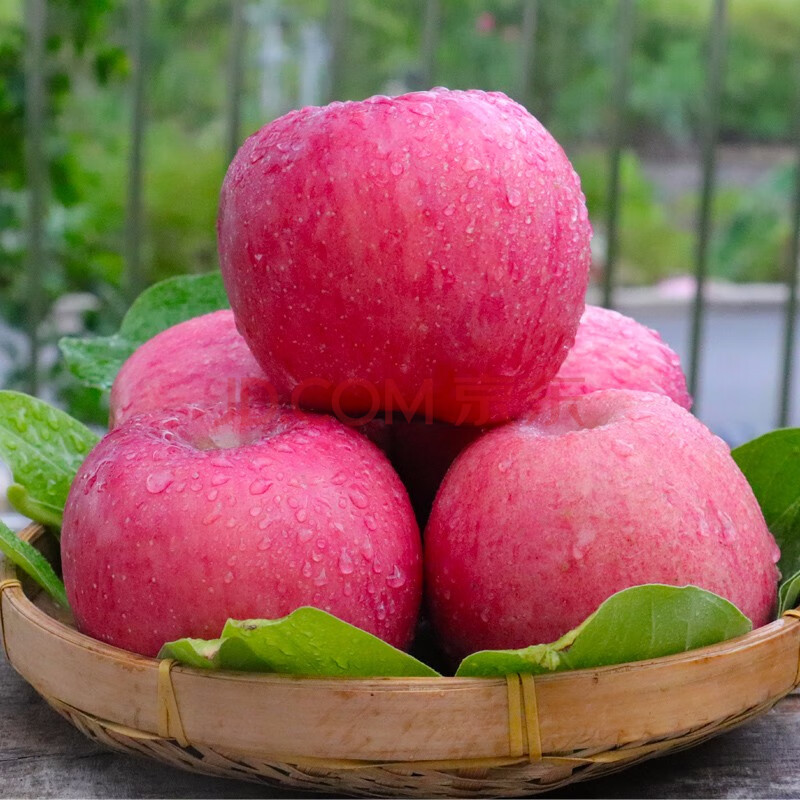 洛川苹果 精品陕西红富士苹果水果 脆甜水果带皮吃礼盒 孕妇水果10斤