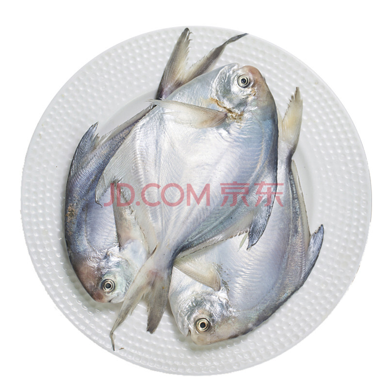 Öèµ½ ¶«º£Ò°Éú΢¶³öðÓã 400g ´ü×° È«ÐÂÒºµª¼¼Êõ ÖÛɽº£Óò 400g 4-6Ìõ