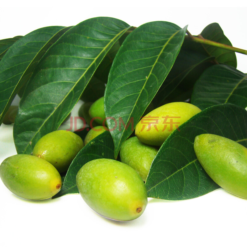 2½ï°üÓÊÏÖÕªÏÖ·¢ÃöÕéÃöÇåÌ´ÏãÐÂÏÊéÏé500g¸£½¨¸£ÖÝÌØ²úÇà¹ûÔи¾Ë®¹ûÇàéÏ黵¹û°üÅâ±£ÐÂÏÊ