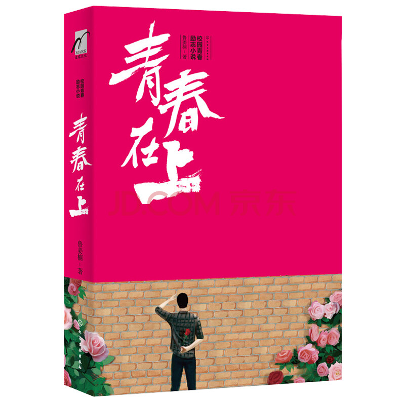 校园青春励志小说 青春在上 长篇小说青春励志飘逸灵动的时代气韵小说