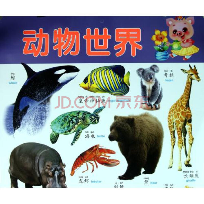 动物世界/阳光宝贝炫彩挂图