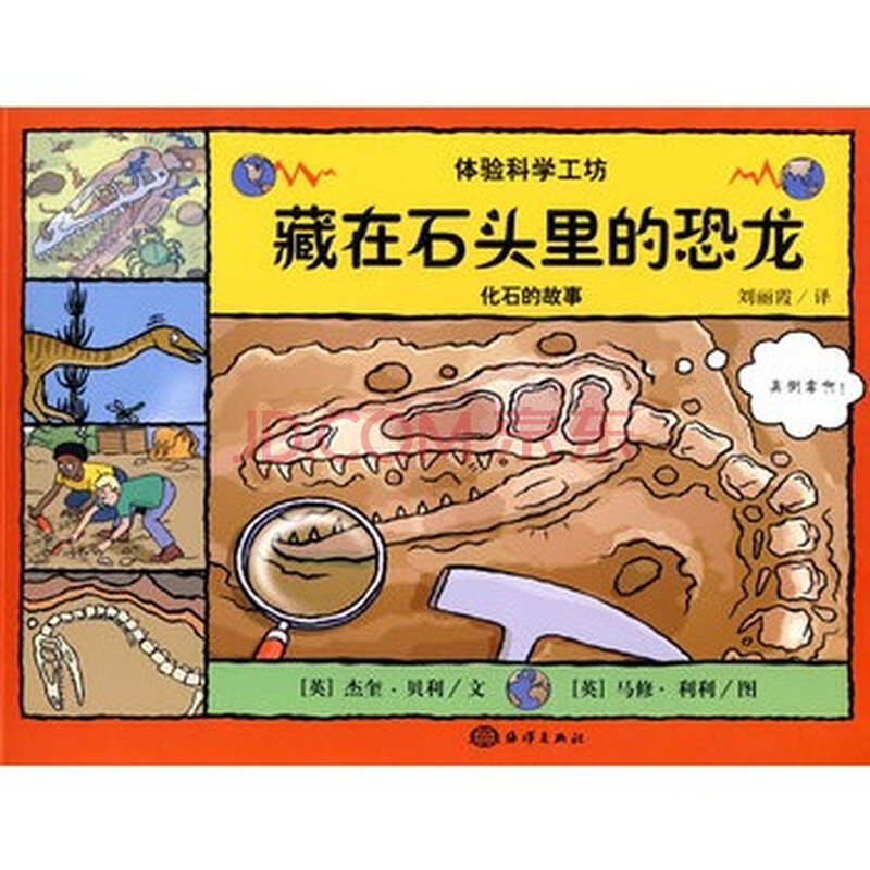 藏在石头里的恐龙——化石的故事