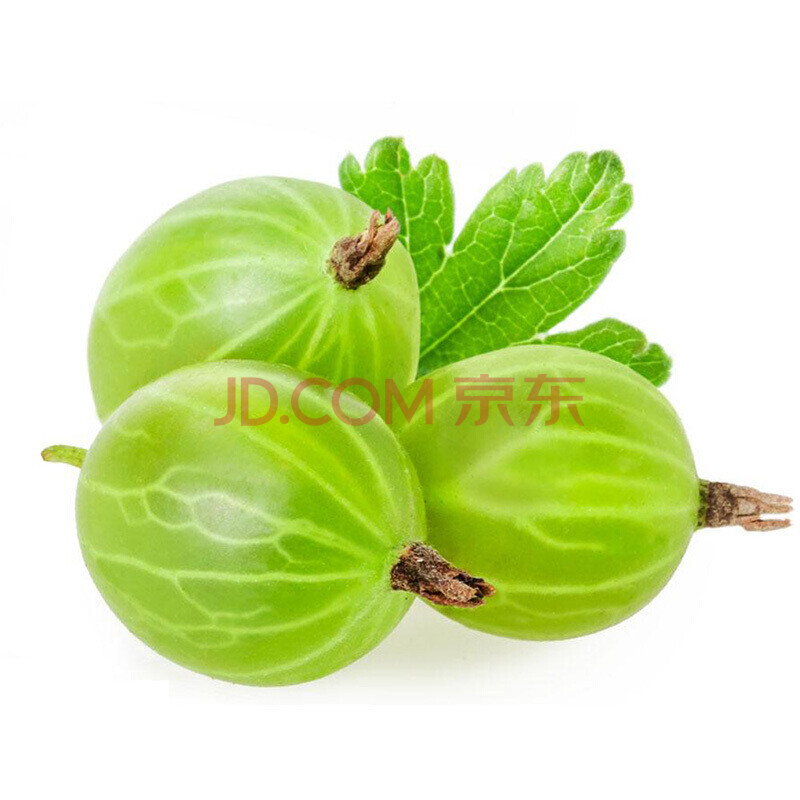 ¶«±±ÌزúÐÂÏʵÆÁý¹û´×Àõ ÂÌÒóÌÒË®¹û ËáµôÔüÑóËá÷ 2.5kg