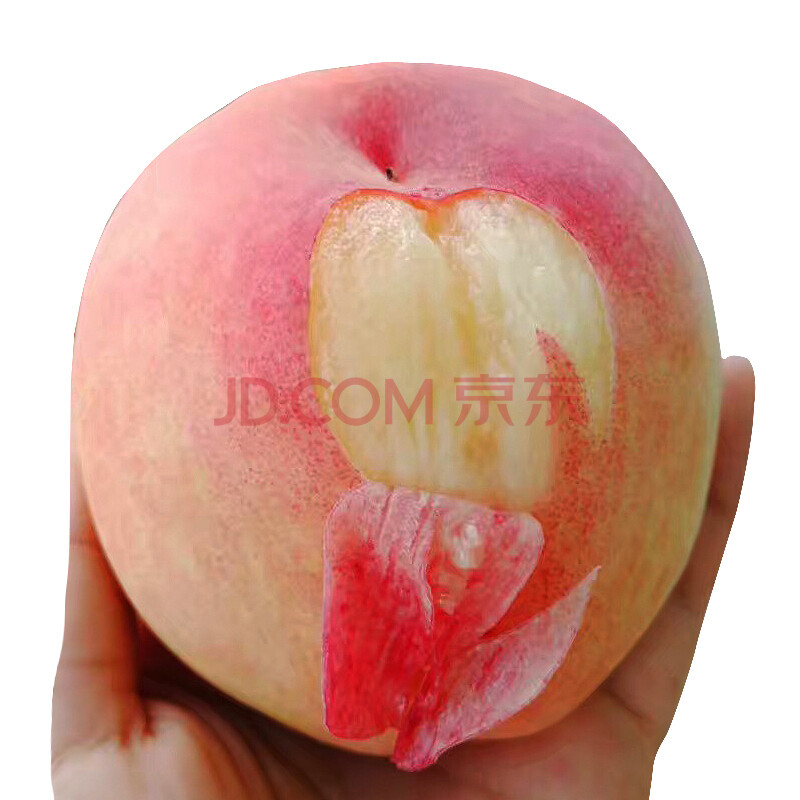 Õý×ÚÎÞÎýÑôɽˮÃÛÌÒʱÁîÐÂÏÊË®¹ûÌÒ×Ó ÎÞÎýÌØ²ú ÐÂÏÊË®¹ûÌÒ×Ó»ÆÌÒÓÍÌÒëÌÒ½õÐå 8Ö»ÀñºÐ×° µ¥¹û6Á½×óÓÒ