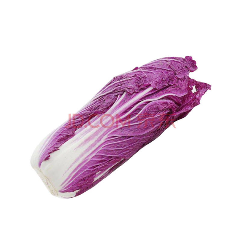 ÐÂÏÊ×ϰײ˴ó°×²ËÐÂÏÊÊß²ËÌØÉ«Å©²úÆ· 1kg