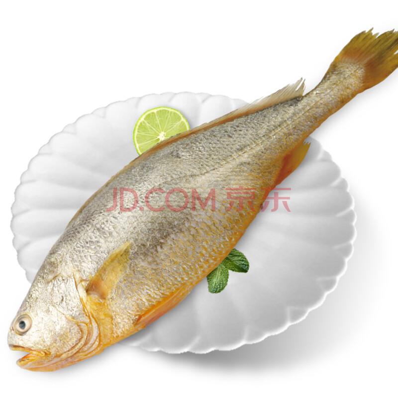 Óæ¹«ÂëÍ· ²³º£Ò°Éú´ó»Æ»¨ ´óÁ¬Àä¶³»Æ»¨Óã º£ÏÊË®²úÉúÏÊÉ´ó»ÆÓã 750g/´ü 1Ìõ×°