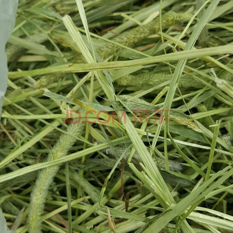 洁西提摩西草兔草兔粮荷兰猪天竺鼠龙猫干草粮食提草小宠牧草五联包