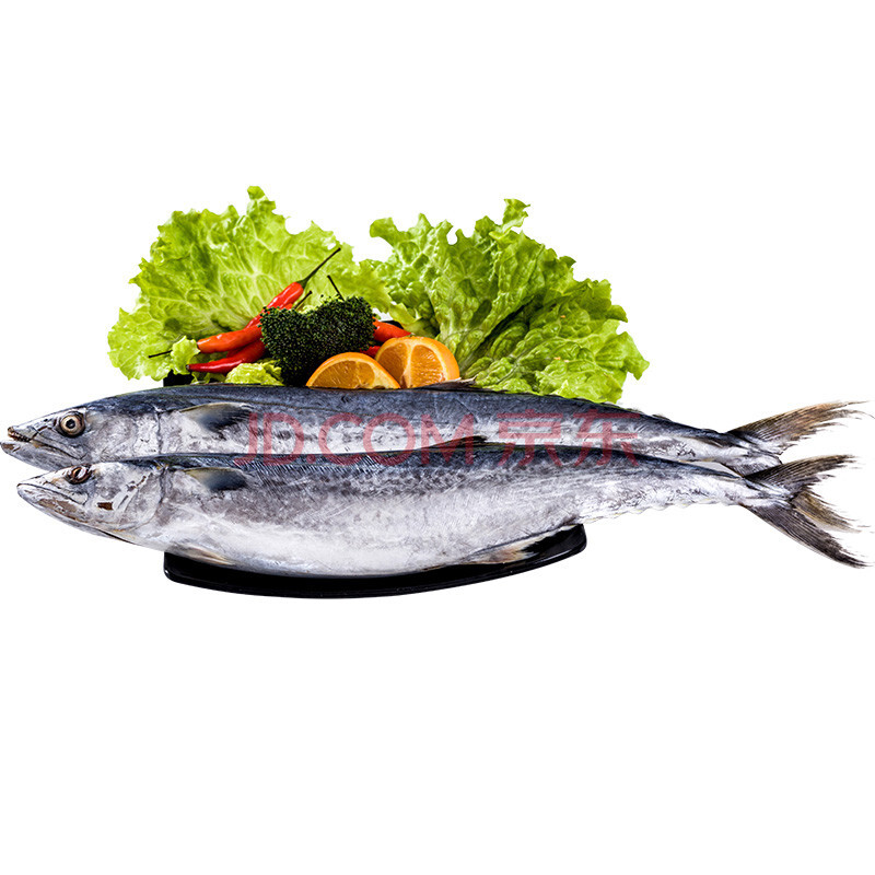 öÑÓã ÐÂÏÊ´óöÑÓã ÑàöÑÓã ÂíöÞÓã ÇൺÉ º£ÏÊË®²ú ˳·á 3ÌõÔ¼1.2-1.5kg
