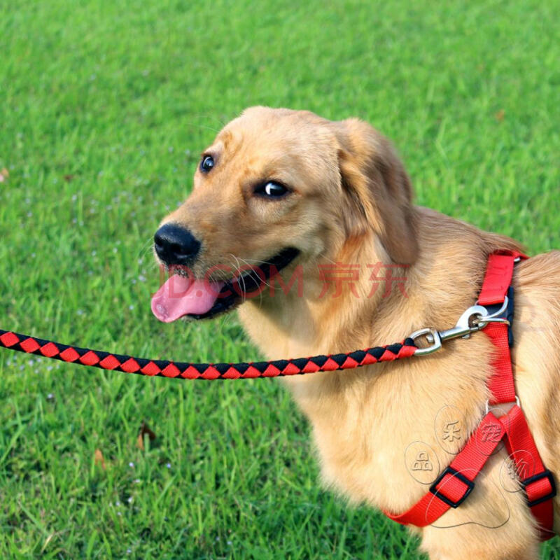 中型犬 边牧哈士奇牵引带胸背带 宠物用品狗绳子狗链子牵引绳套装 军