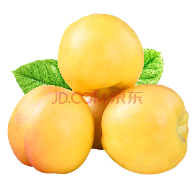¹ú²ú»Æ½ðÓÍÌÒ500g µ¥¹û100-150g ÐÂÏÊË®¹û