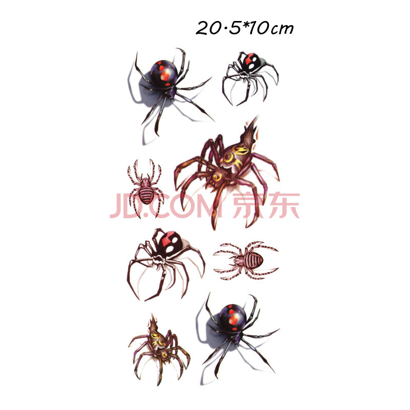 立体蜘蛛纹身手绘内容图片分享