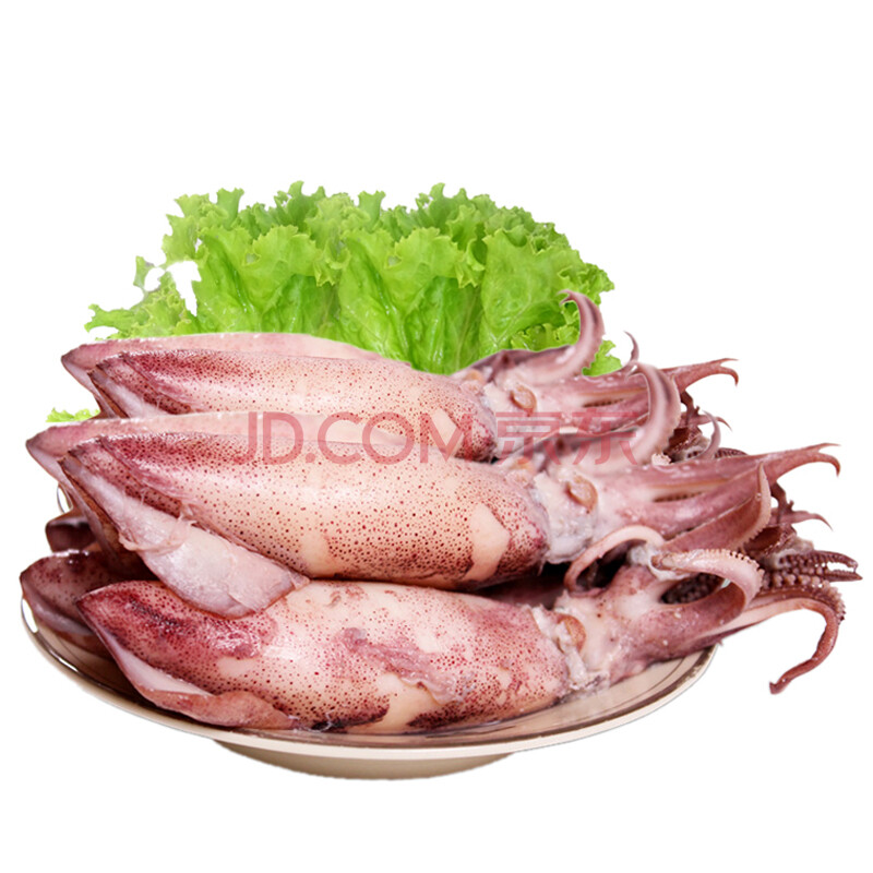 【莘县馆】 冷冻笔管鱼 带籽鱿鱼 海兔子籽乌 海鲜水产 1kg