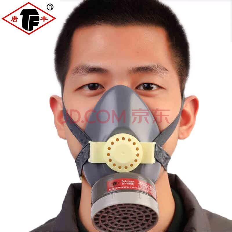 唐丰 防毒防尘面具防甲醛防异味有毒气体 防毒口罩农药工业粉尘喷漆用