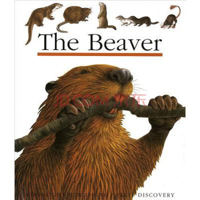 the beaver