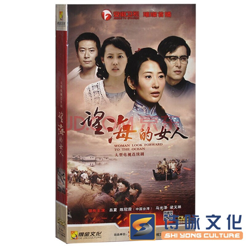 正版电视剧 望海的女人 经济版盒装8dvd 吕夏 陈冠霖