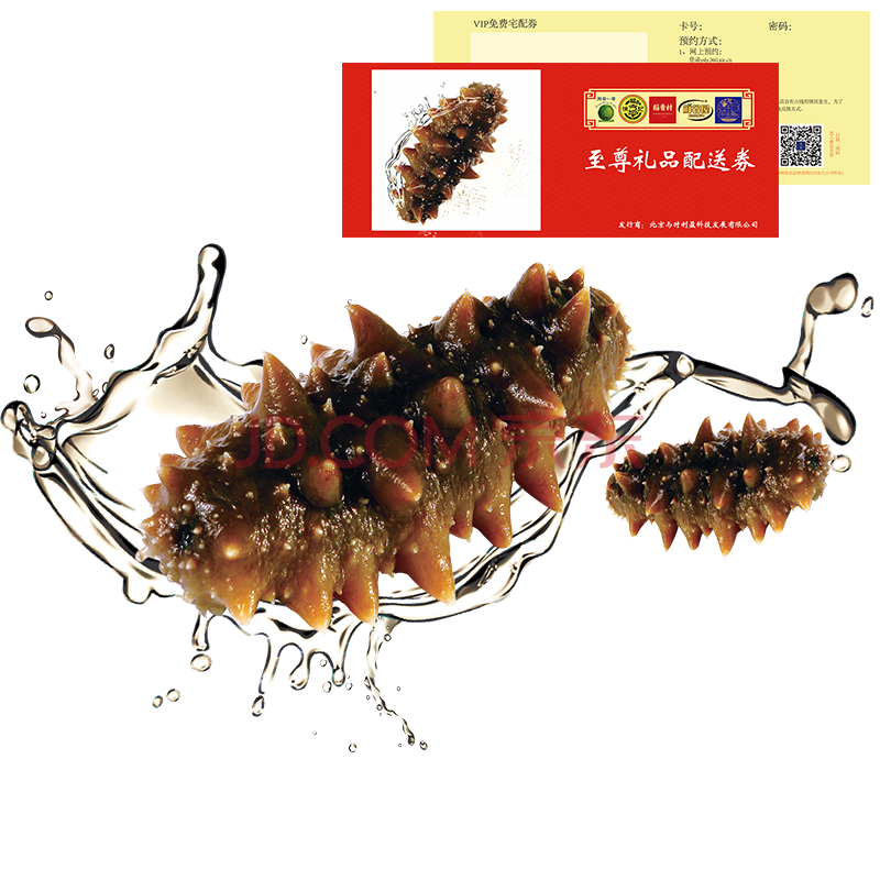 ¡¾¿¨È¯¡¿ÏʹÈÎݼ´Ê³º£²ÎϵÁÐÀñƷȯ º£ÏÊË®²ú¼´Ê³´Ì²Î 998Ðͽ¡¿µÀñ 1000g£¨18Í·×óÓÒ£©