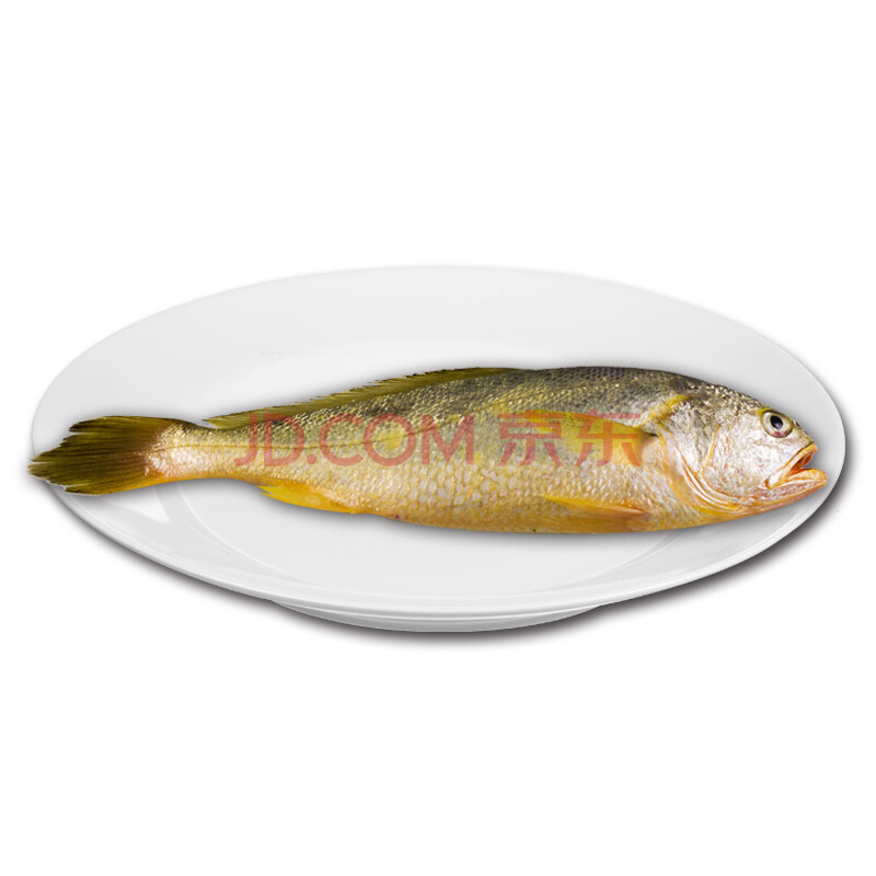 71% ÖÛɽҰÉú´ó»ÆÓã·Ç±ù¶³500g¶àÍËÉÙ²¹ 1Ìõ450g-600g¹æ¸ñ