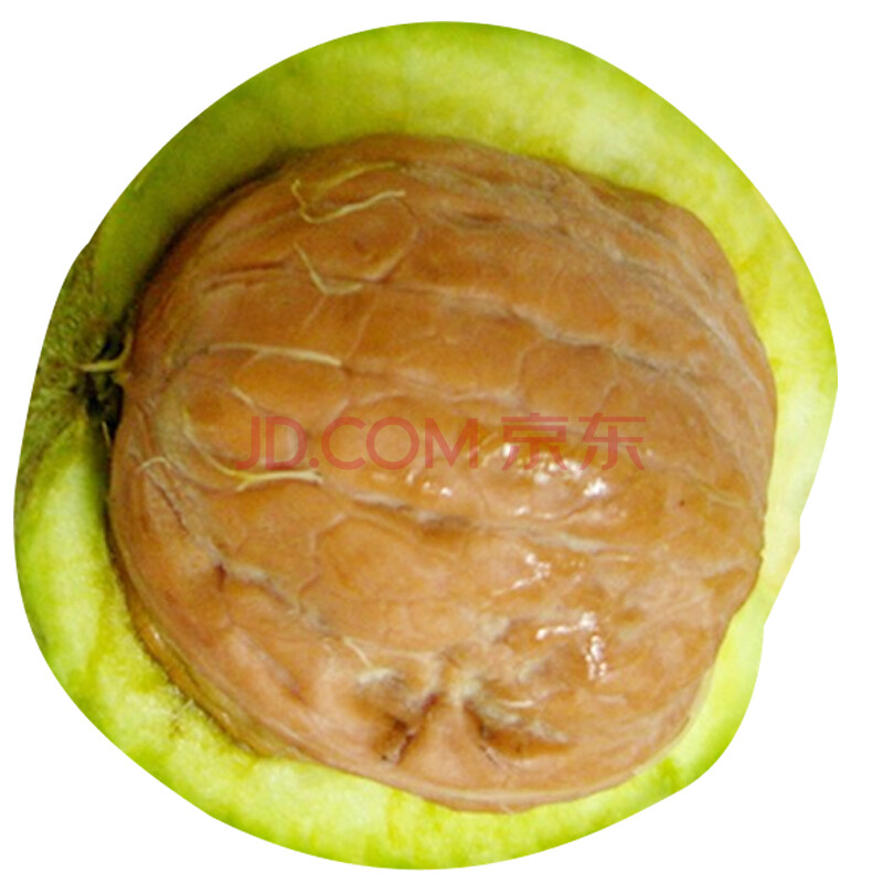 ÏÖ»õ£¡ÏÖ»õ£¡ ÉÂÎ÷ÐÂÏÊʪºËÌÒ ÇàÆ¤ºËÌÒ È¥ÇàÆ¤ºËÌÒ500g ËͼÐ×Ó
