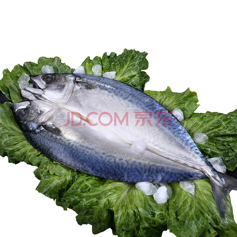 º«Íå ½ø¿ÚÇ໨Óã 350g ±ùÏʺ£Óã