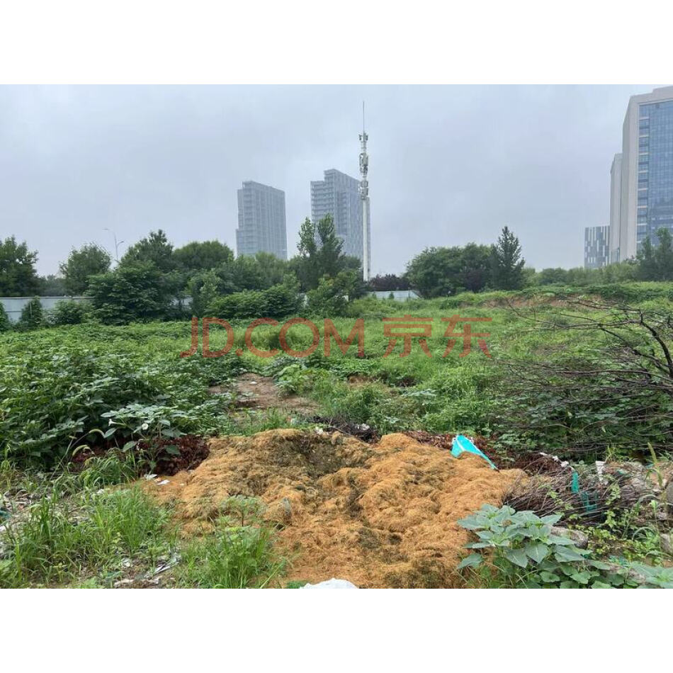 淄博市张店区上海路以东，心环西路以西，规划道路以南，华光路以北土地使用权一宗