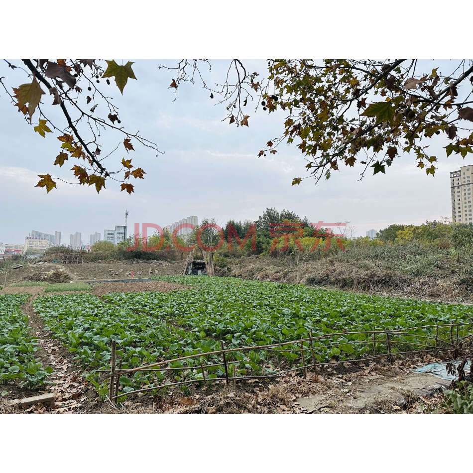 【第5次拍卖】（破）淮南中圣置业有限公司的一宗土地使用权（宗地面积：32406.36㎡）