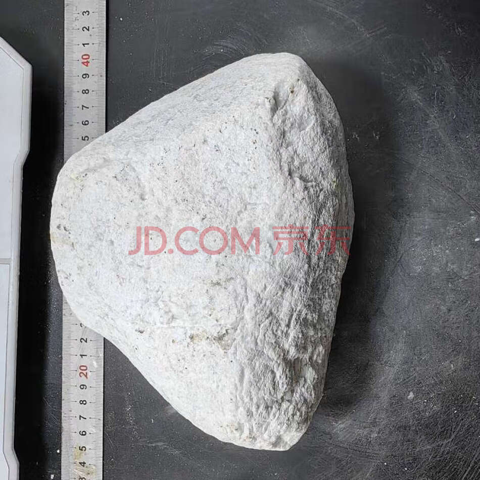 JDHDZT2170 天然翡翠原石毛料