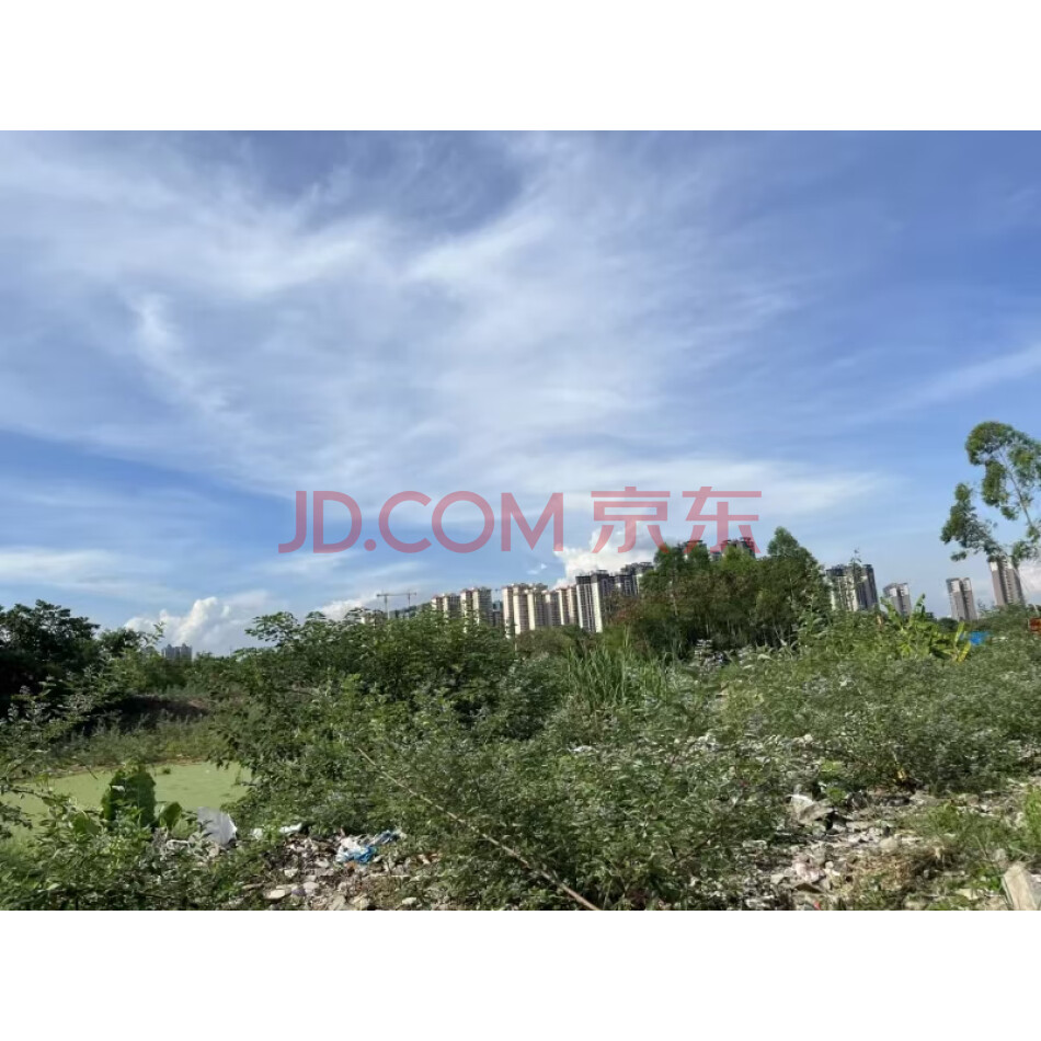 位于贵港市港北区西江园路与江南大道北侧支路交汇处西南角约89.83亩土地五年租赁权