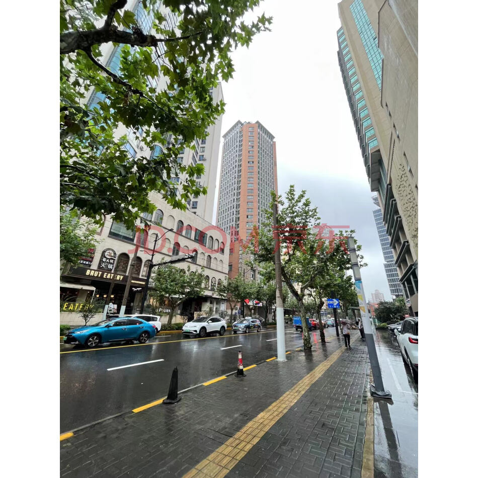 内环内，独立卫生间，高区落地窗，江宁路495号，博鸿大厦